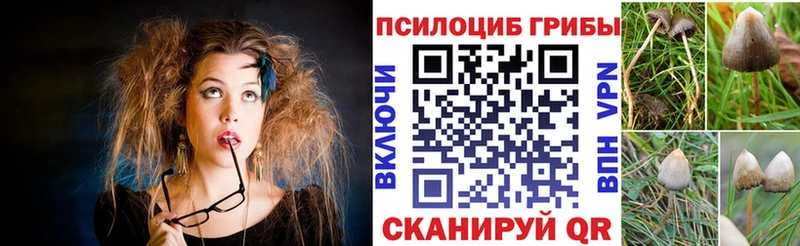 Псилоцибиновые грибы MAGIC MUSHROOMS  Грайворон 